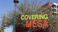 CoveringMesa_web